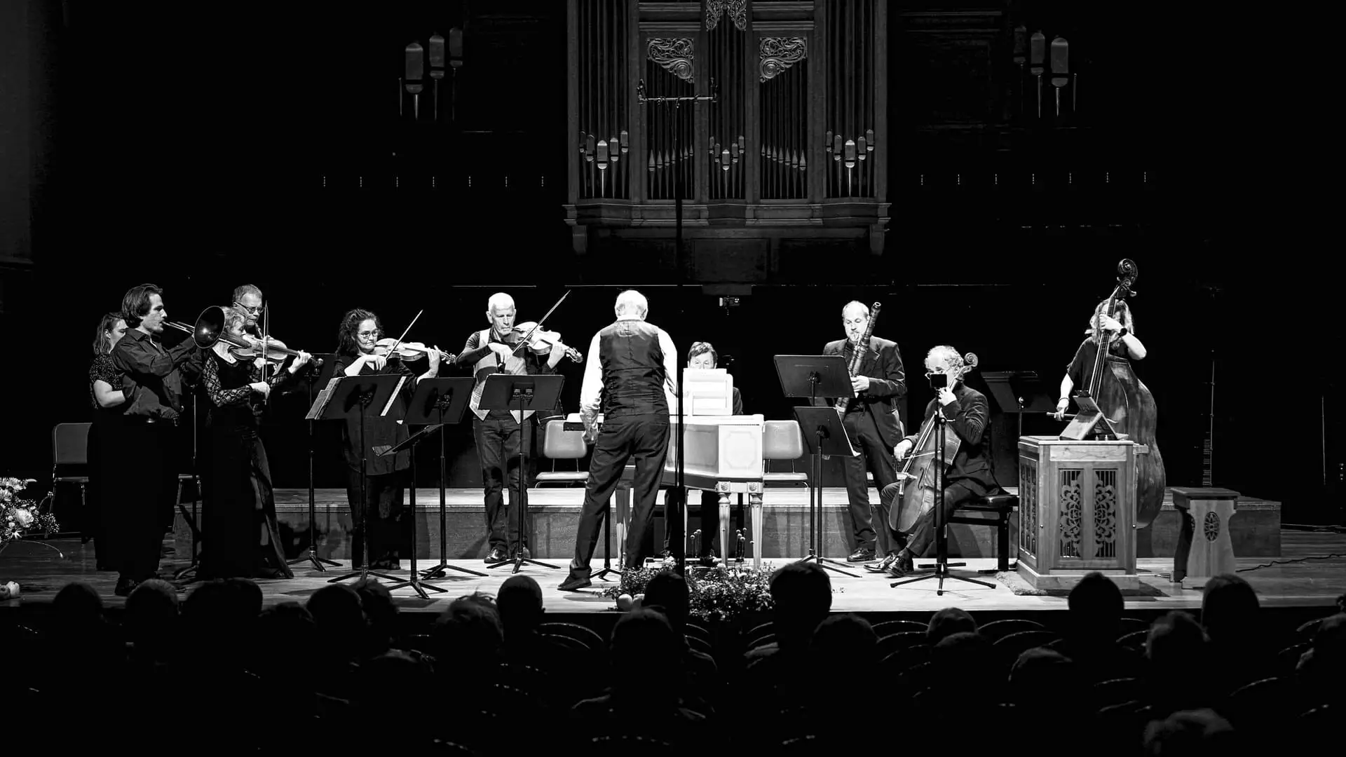 Welke kleur beroert je